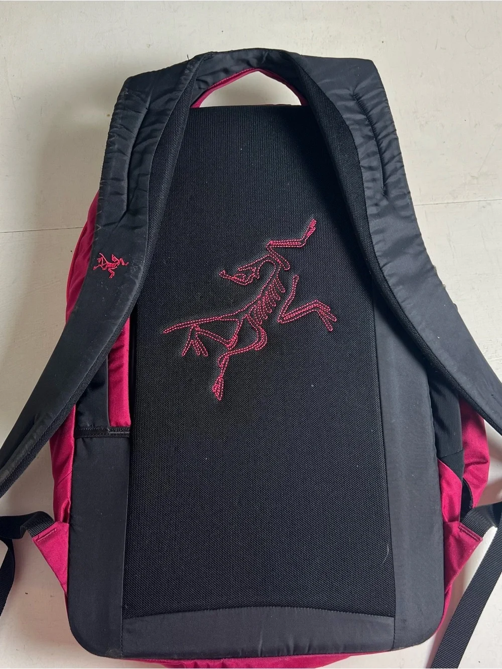 ARC’TERYX- Pender Backpack Roseberry